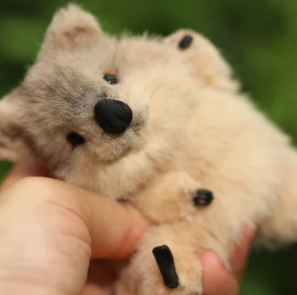 Quokka Articulated Plush Toy Kit